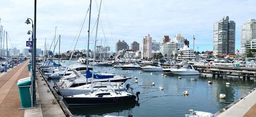 From Montevideo: Punta del Este Full-Day Private Tour