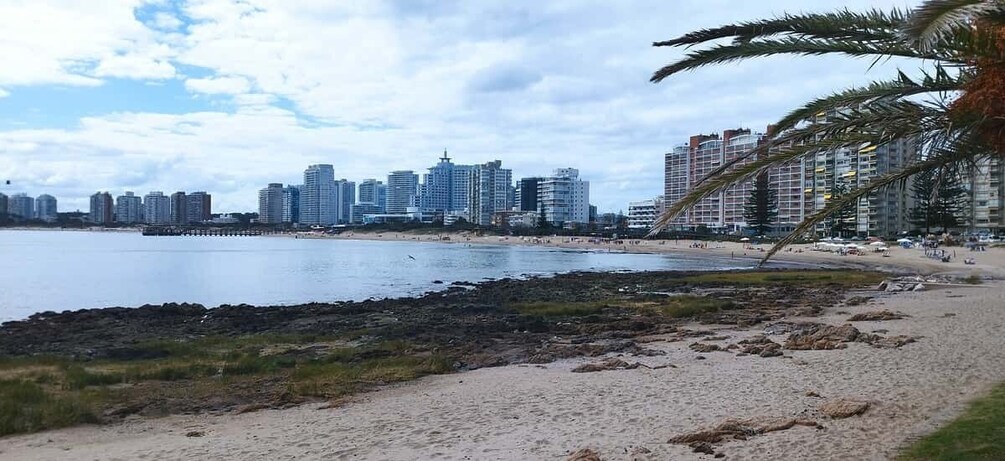 Picture 10 for Activity From Montevideo: Punta del Este Full-Day Private Tour