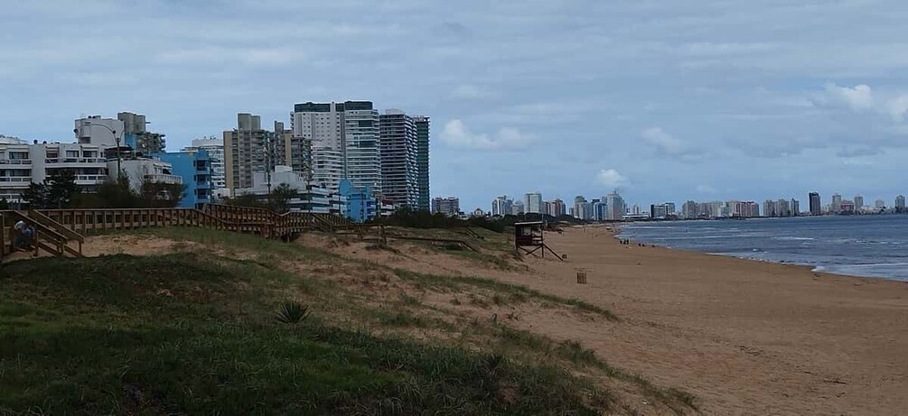 Picture 7 for Activity From Montevideo: Punta del Este Full-Day Private Tour