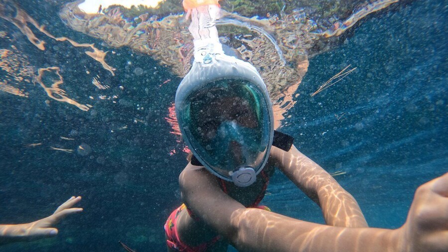 From Fazana: Rovinj full day Private boat tour