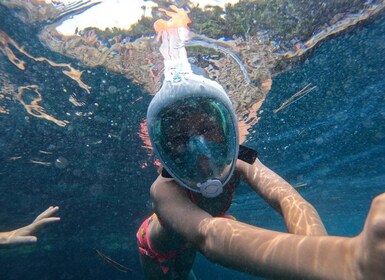 Desde Fazana: tour privado de día completo en barco por Rovinj