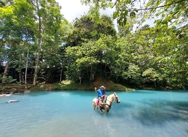 Horseback Riding Rio Celeste