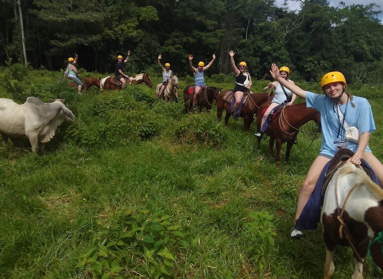 Picture 1 for Activity Horseback Riding Rio Celeste