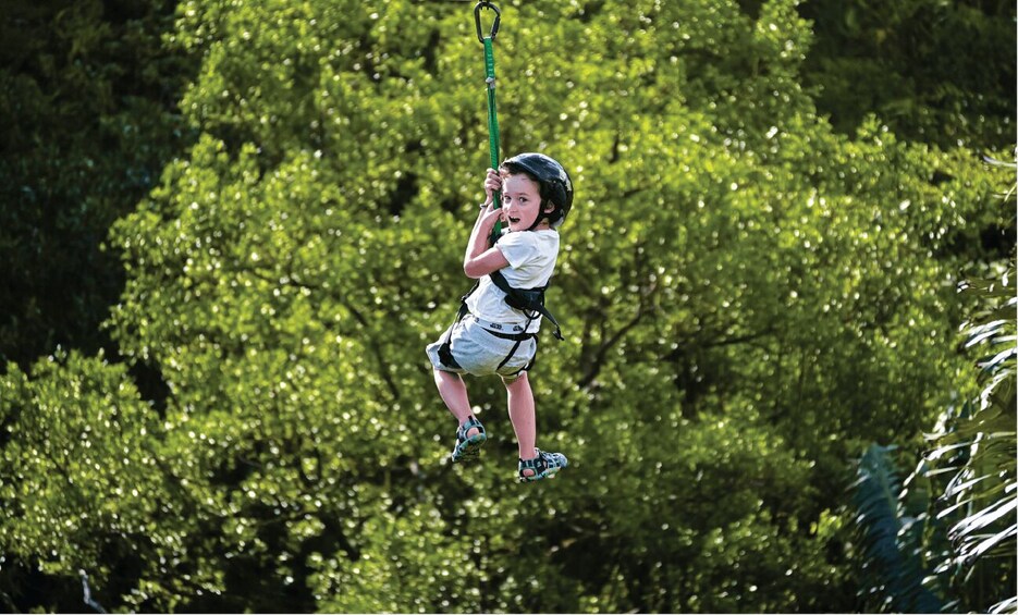 Picture 2 for Activity Mauritius : La Vallee des Couleurs , Discovery Tour ZIPLINE