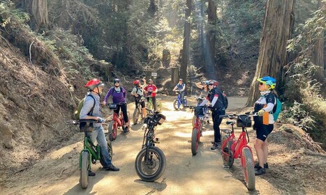 Recorrido en bicicleta eléctrica por Old Coast Road de Big Sur