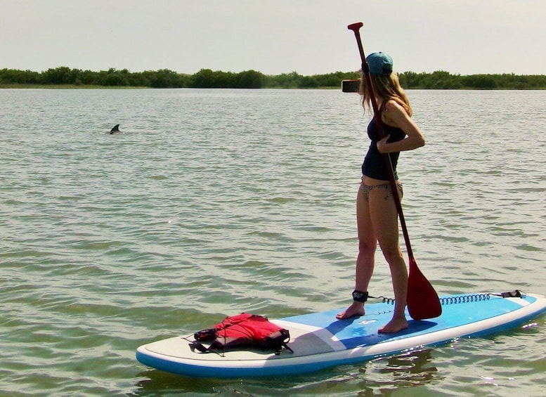 St. Augustine: Paddle Board Dolphin Adventure
