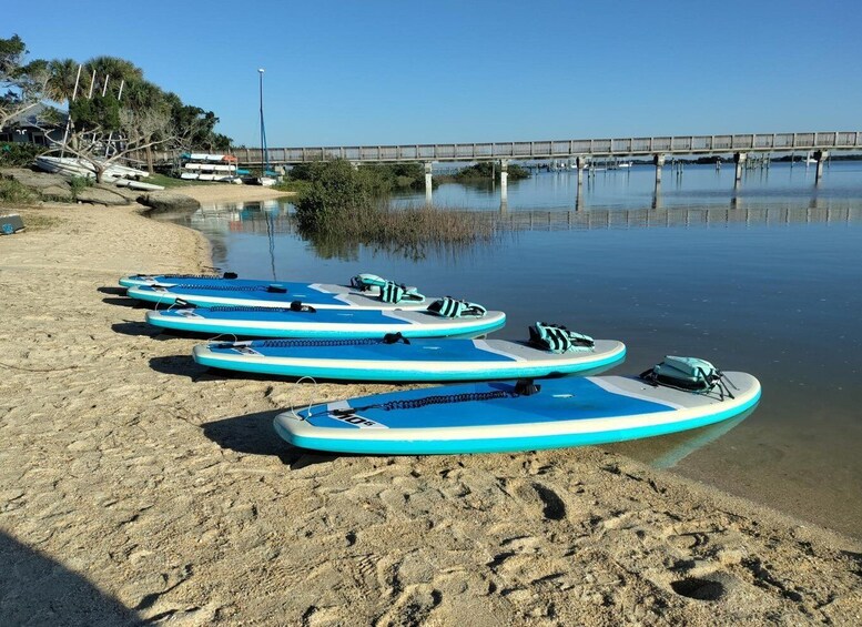 Picture 1 for Activity St. Augustine: Paddle Board Dolphin Adventure