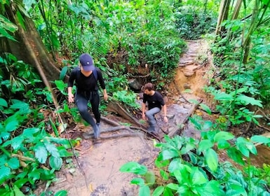 Khaosok Jungle Camping tour & Khaosok Rain forest hiking