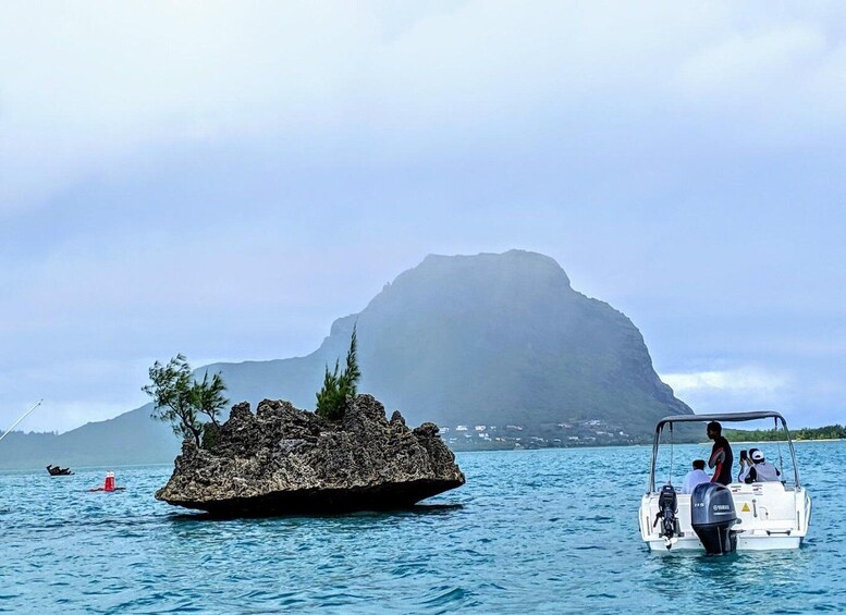 Private Dolphin Swim/Snorkeling & Lunch on Benitiers island