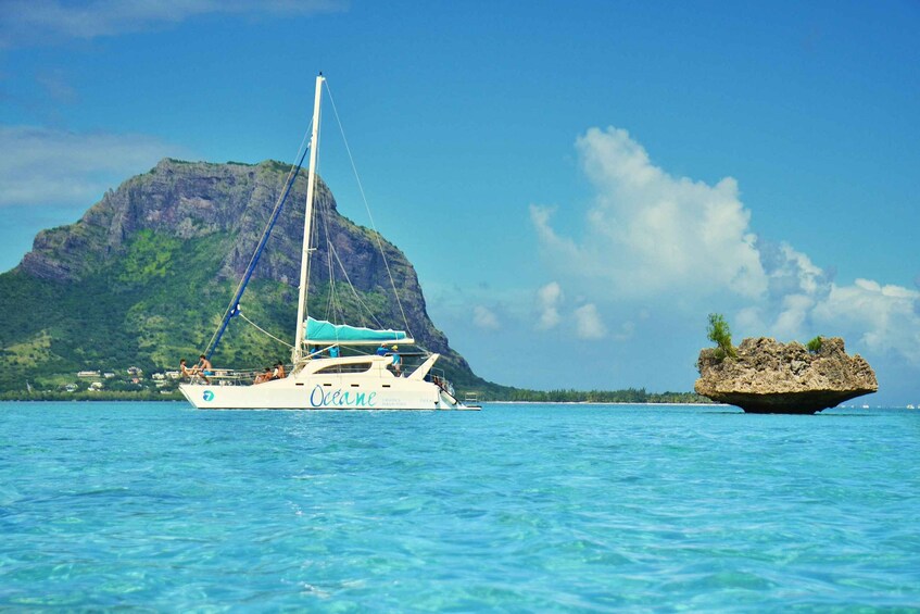 Picture 1 for Activity Private Dolphin Swim/Snorkeling & Lunch on Benitiers island