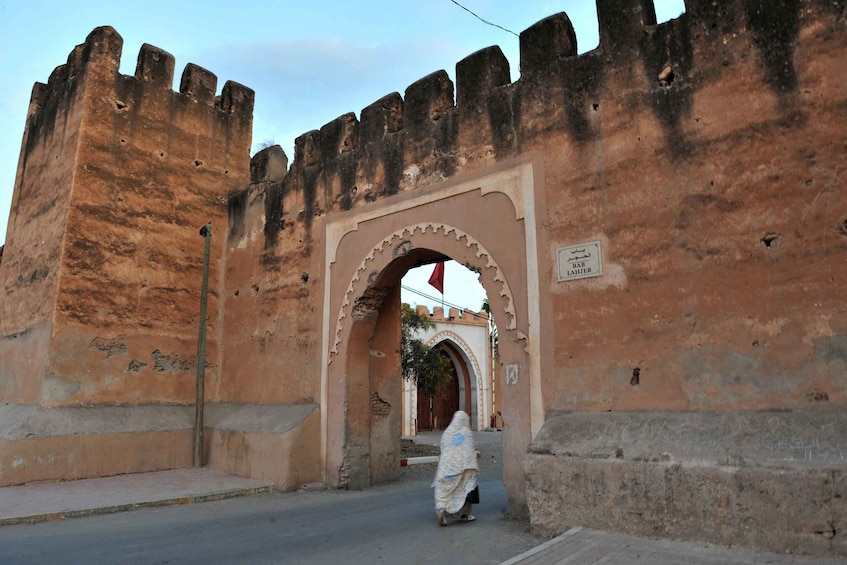 Picture 9 for Activity Taroudant and Tiout Oasis Trip With Lunch