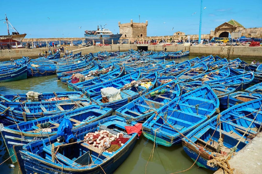 Picture 5 for Activity From Agadir: Essaouira Excursion Full Day Trip