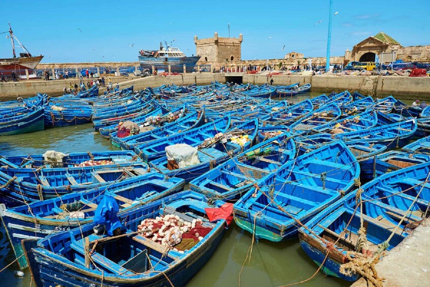 Picture 5 for Activity From Agadir: Essaouira Excursion Full Day Trip