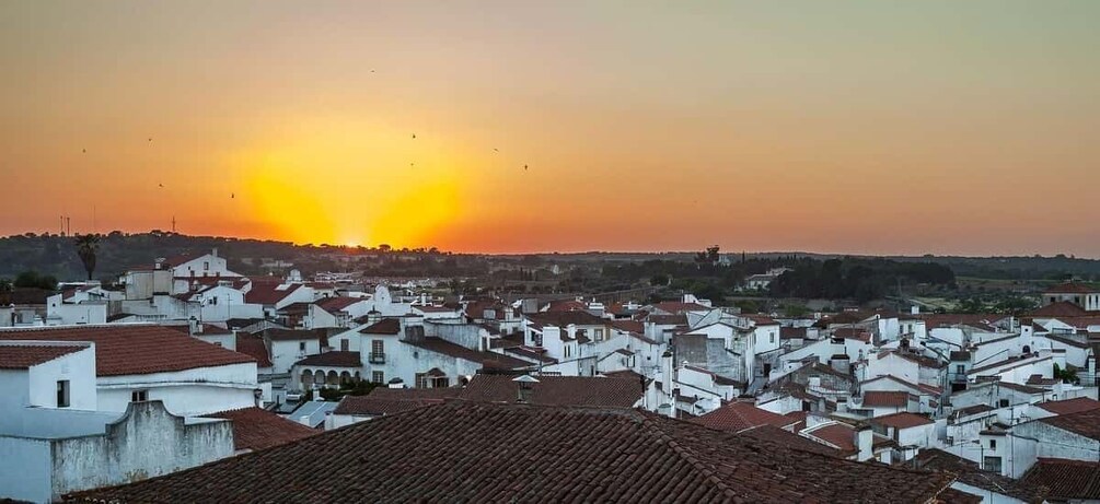 Picture 3 for Activity Évora Private Walking Tour