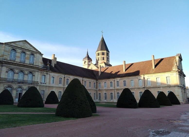 Cluny Abbey : Private Guided Tour with "ticket included"