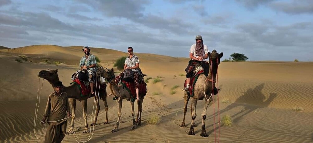 Picture 9 for Activity Blissful Half Day Sunset Camel Safari with Musical Evening