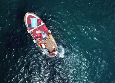 Dia complet per l'illa de Capri Tours de 6h