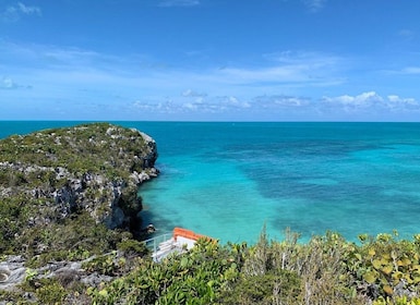 Providenciales: Beach Hopping Private Tour by quad bike