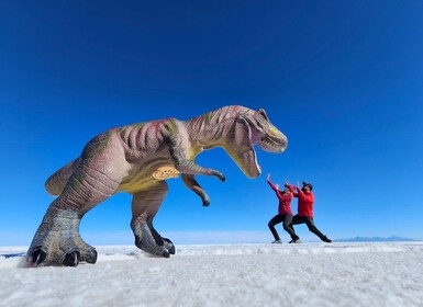 Uyuni: Private 1 Day Tour - Salt Flats & Isla Incahuasi