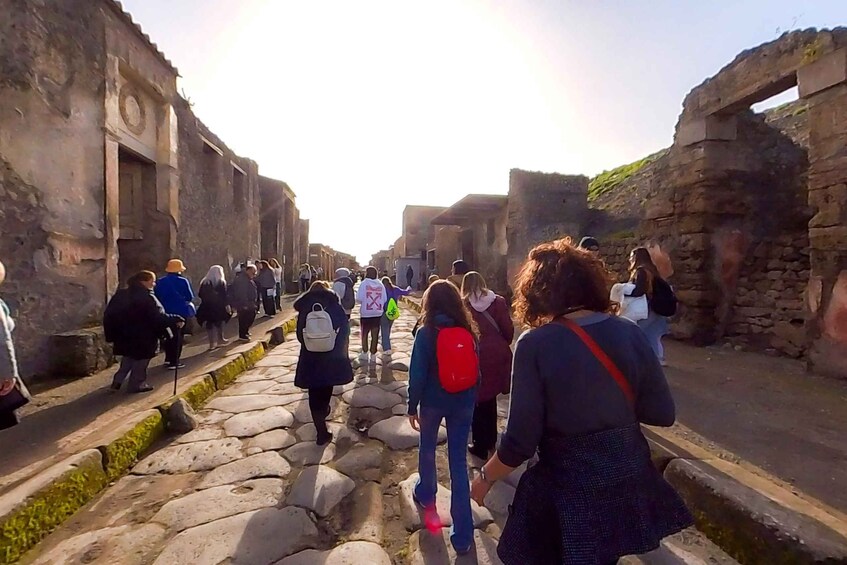 Picture 1 for Activity From Sorrento: Pompeii and Vesuvius Guided Tour with Lunch