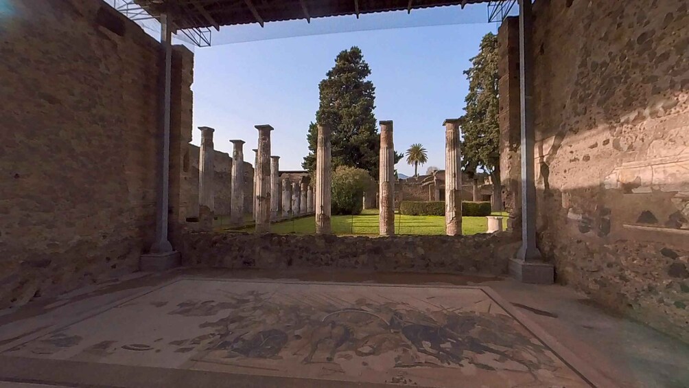 Picture 3 for Activity From Sorrento: Pompeii and Vesuvius Guided Tour with Lunch