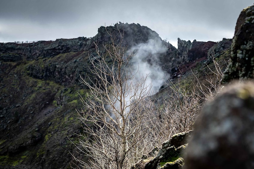 Picture 7 for Activity From Sorrento: Pompeii and Vesuvius Guided Tour with Lunch