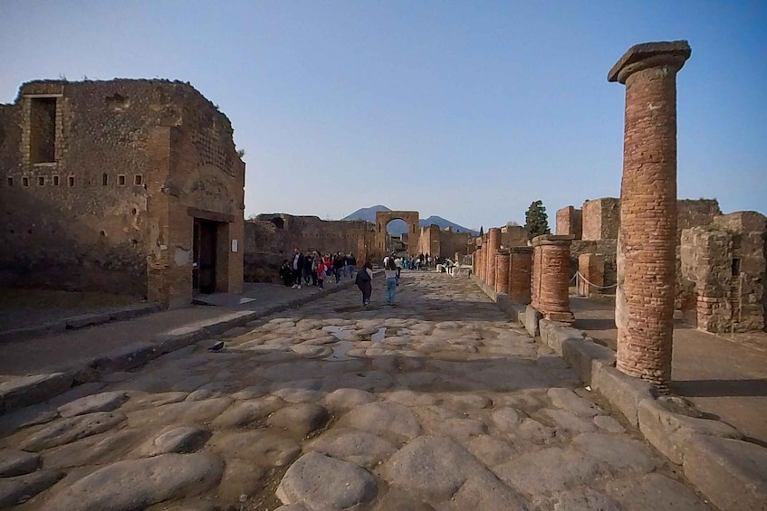 Picture 5 for Activity From Sorrento: Pompeii and Vesuvius Guided Tour with Lunch