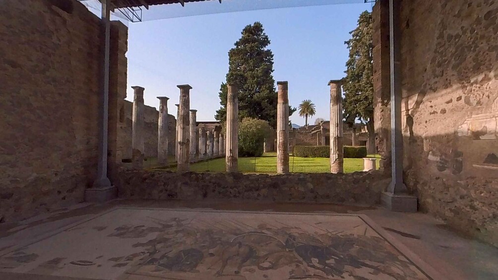 Picture 3 for Activity From Sorrento: Pompeii and Vesuvius Guided Tour with Lunch