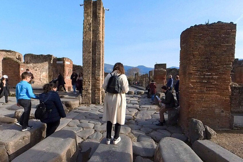 Picture 2 for Activity From Sorrento: Pompeii and Vesuvius Guided Tour with Lunch