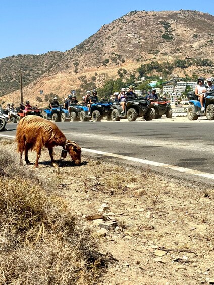 Picture 2 for Activity Crete: Quad Safari With Scenic Views and Village Visit