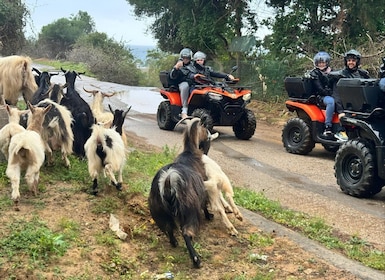Quad Safari Crete: Behind the scenes of the Ghost Town