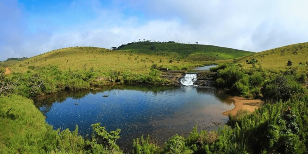 Picture 3 for Activity Comprehensive Excursion: Horton Plains and Pedro Tea Factory