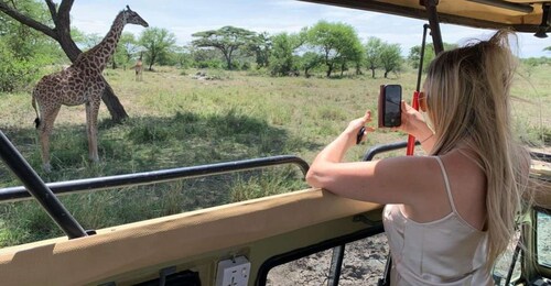 5 Tage Serengeti Flugsafari