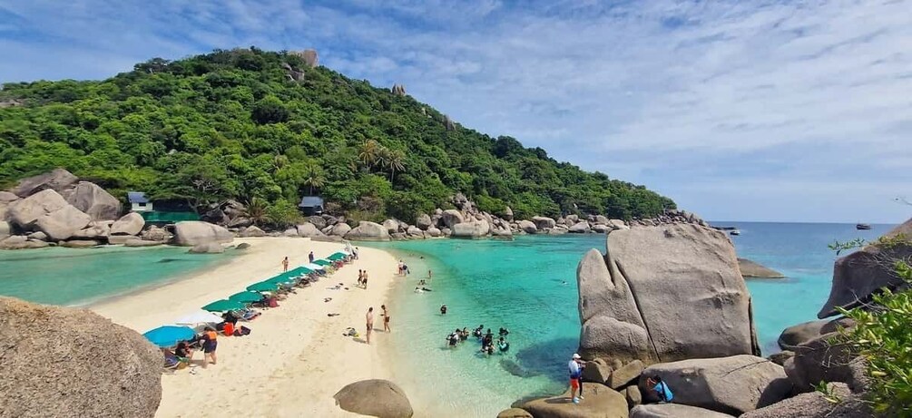 Picture 1 for Activity From Koh Tao: Visit to Koh Nang Yuan with Hotel Transfers