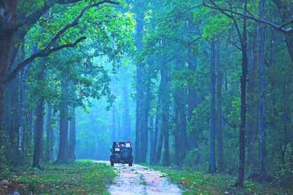 Rajasthan : Safari privé en jeep dans le parc national de Ranthambore