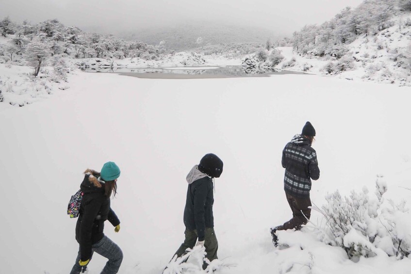 Picture 6 for Activity Ushuaia: Winter Tierra del Fuego Hiking and Canoeing Tour