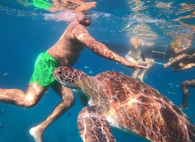 São Vicente : Plongée en apnée avec des tortues Expérience à couper le souf...