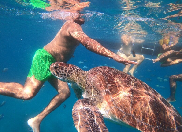 São Vicente: Snorkeling with Turtles Breathtaking Experience