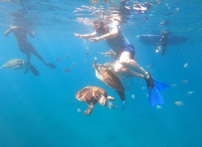 Picture 2 for Activity São Vicente: Snorkeling with Turtles Breathtaking Experience