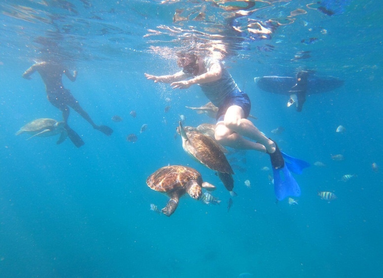 Picture 2 for Activity São Vicente: Snorkeling with Turtles Breathtaking Experience