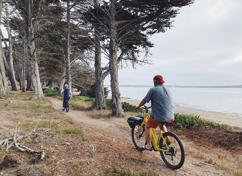 Picture 5 for Activity Morro Bay: Guided E-Bike Tour