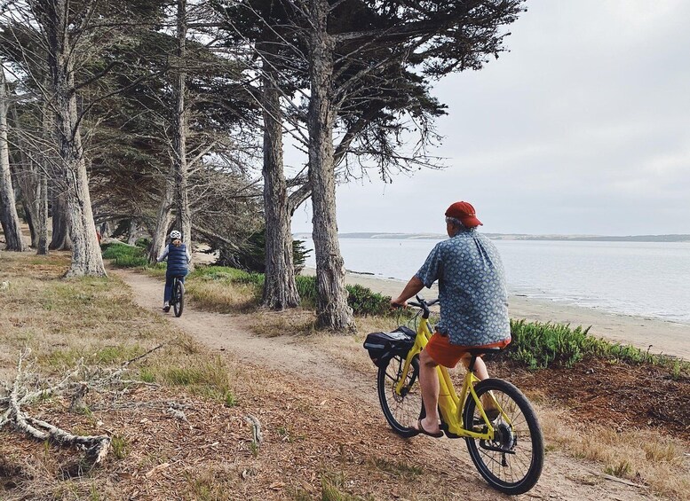 Picture 5 for Activity Morro Bay: Guided E-Bike Tour