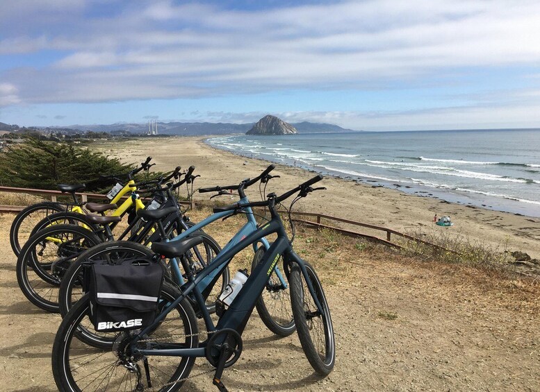 Picture 6 for Activity Morro Bay: Guided E-Bike Tour
