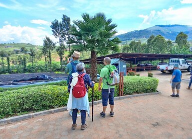 COFFEE PLANTATION TOUR