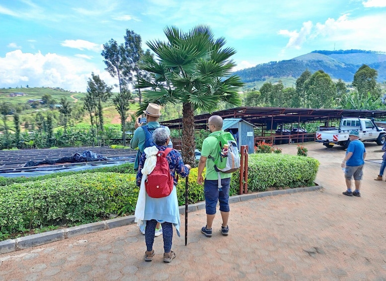 COFFEE PLANTATION TOUR