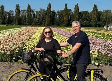 Bollenstreek: Dahlia's Fietstocht