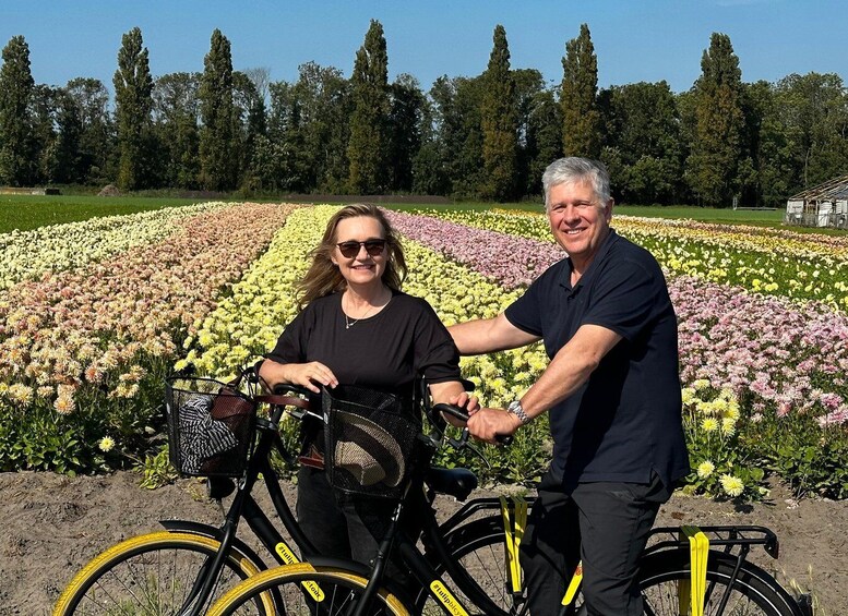 Bulb region: Dahlias Bicycle Tour