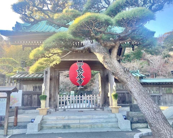 Picture 4 for Activity Kamakura: Half day Walking tour & Japanese sweets