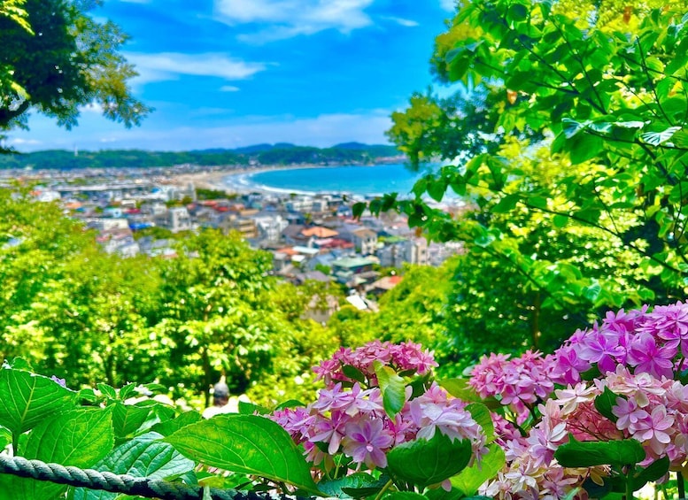 Picture 7 for Activity Kamakura: Half day Walking tour & Japanese sweets