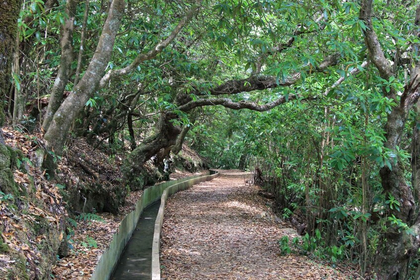 Ribeiro Frio - Portela - Levada do Furado